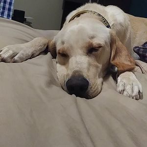 Meet your Posher, Zach